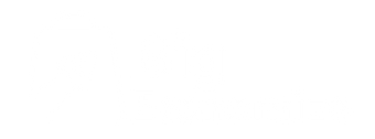 Big Economize